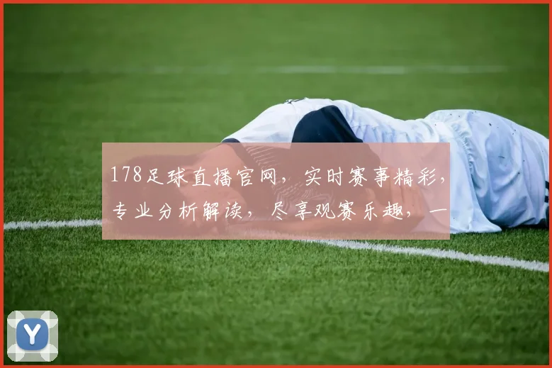 178足球直播官网，实时赛事精彩，专业分析解读，尽享观赛乐趣，一网打尽