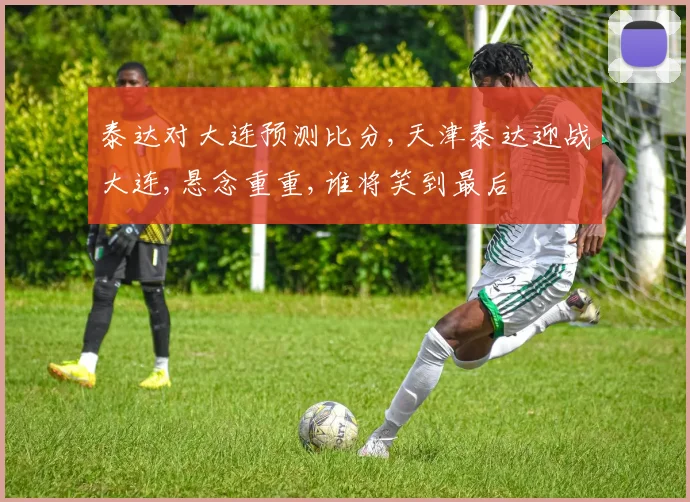 泰达对大连预测比分,天津泰达迎战大连,悬念重重,谁将笑到最后