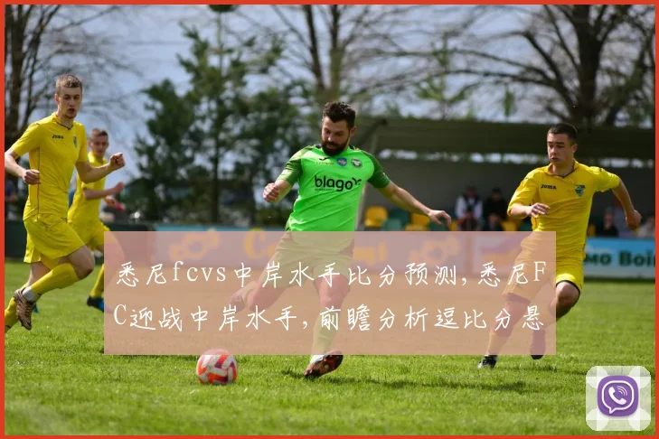 悉尼fcvs中岸水手比分预测,悉尼FC迎战中岸水手,前瞻分析逗比分悬念