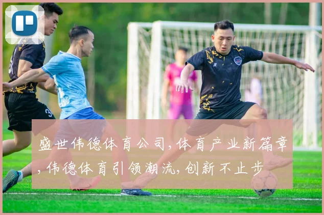 盛世伟德体育公司,体育产业新篇章,伟德体育引领潮流,创新不止步