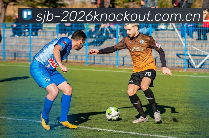 世界杯2026 knockout赛程服务体系
